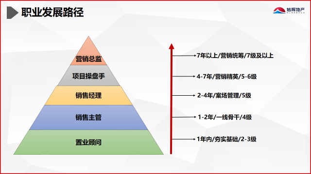 皓月生培养.png