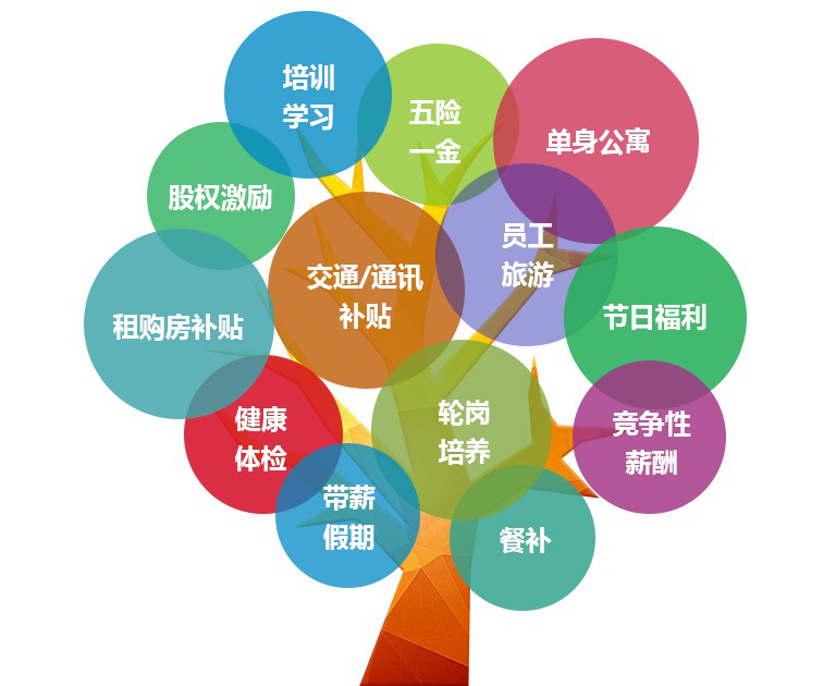 图片 6.png