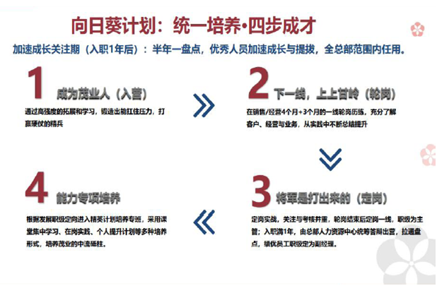 向日葵计划步骤图.png