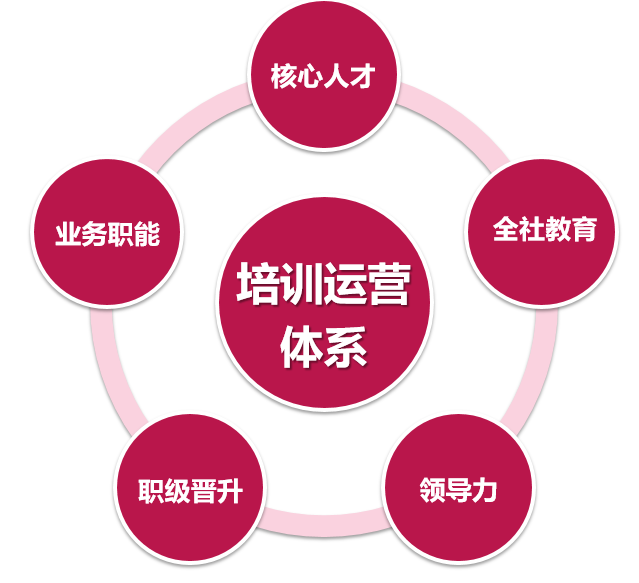 成长体系2.png