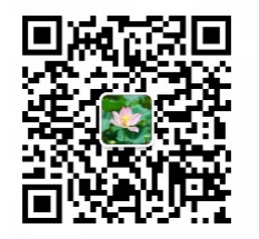 微信QR.png