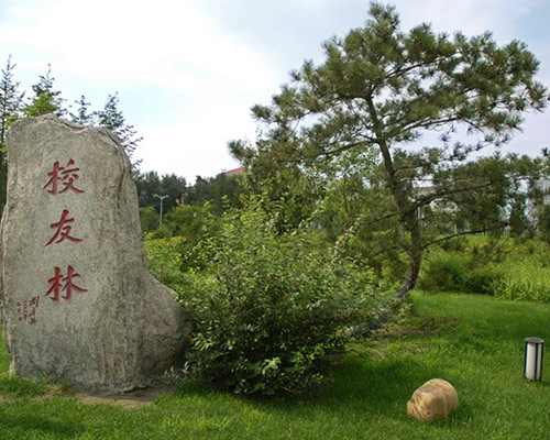 哈尔滨工程大学校园景色
