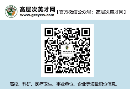 高层次.png