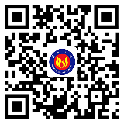 3-230QP950002B.jpg