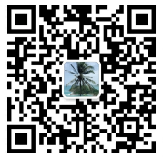 上海-胡结琴(1).png