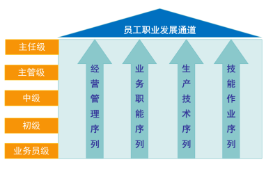 国电投职业发展.png